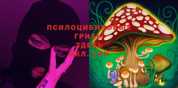 дживик Алексин