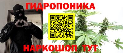СК Гай