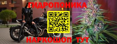 СК Гай