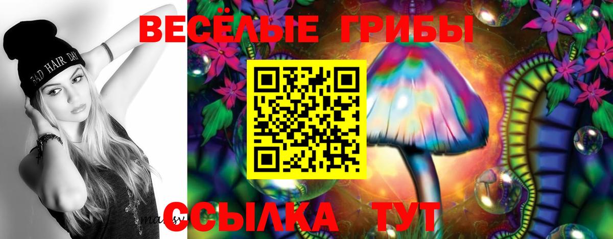 Галлюциногенные грибы Psilocybine cubensis Тайшет